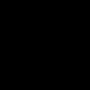 Meet your Posher, Kyeriia